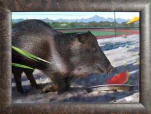 341—Website photos 038 cropped - pig with watermelon